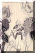 nb01.jpg (51496 octets)